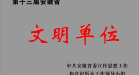 第十三届安徽省文明单位